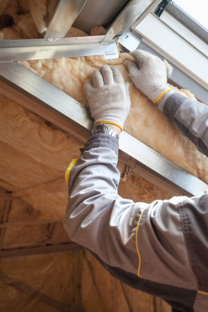 Best Energy-efficient Insulation  in Sachse, TX