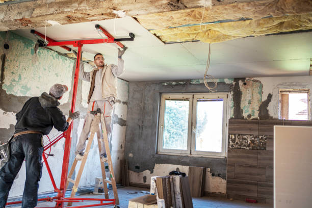 Best Residential Insulation Services  in Sachse, TX