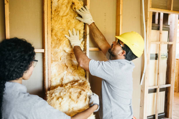 Best Attic Insulation Installation  in Sachse, TX