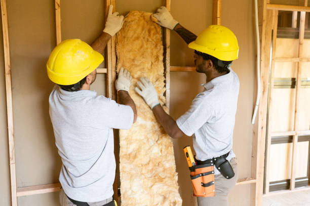 Best Garage Insulation Installation  in Sachse, TX