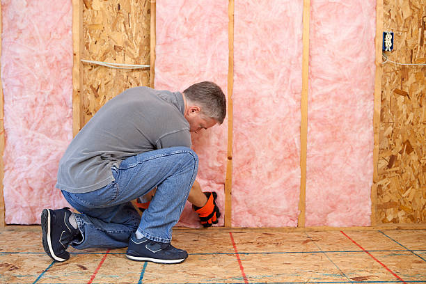 Insulation Repair Services in Sachse, TX