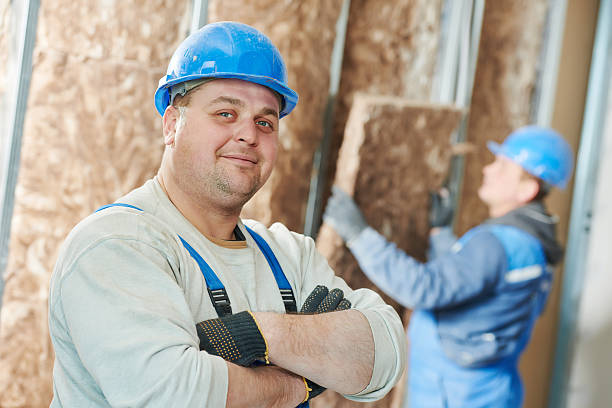 Best Professional Insulation Contractor  in Sachse, TX